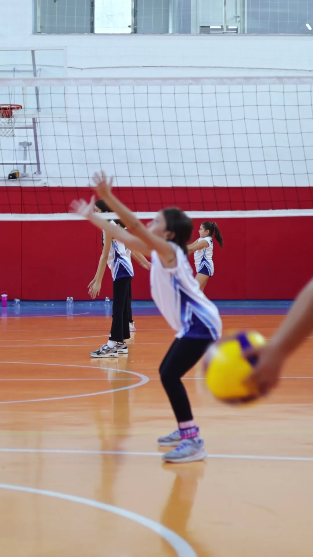 Tuzla'da voleybol kursu ve kulübü seçerken nelere bakmalı?